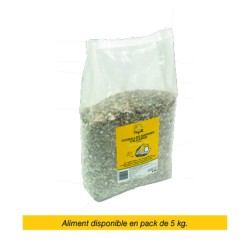Magalli Coquilles Marines Calcaire - Source De Calcium