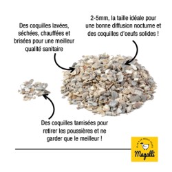 Magalli Coquilles Marines Calcaire - Source De Calcium