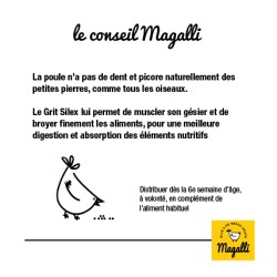 Magalli Grit Poules - Digestion Et Coquilles Solides