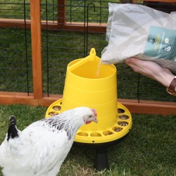 Magalli Grit Poules - Digestion Et Coquilles Solides