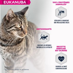 Eukanuba - Chat Adulte - Sans céréales - pâtée Agneau