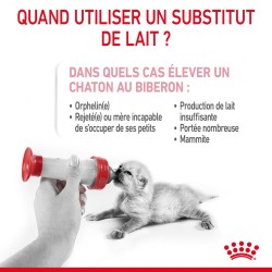 Lait maternisé chaton - BabyCat milk - ROYAL CANIN