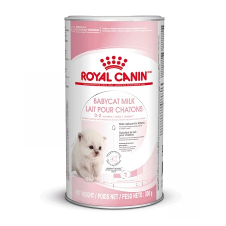 Lait maternisé chat - BabyCat milk - ROYAL CANIN
