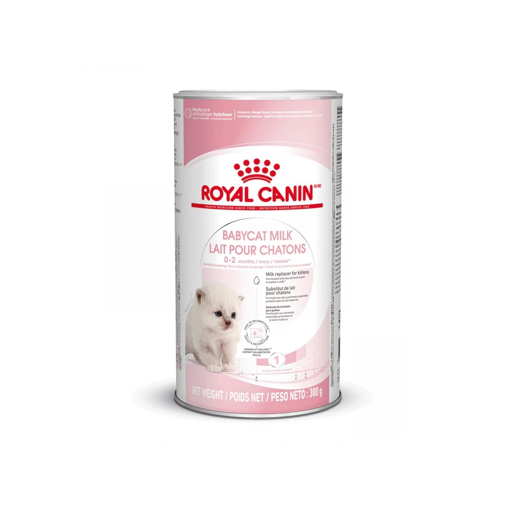 Lait maternisé chat - BabyCat milk - ROYAL CANIN