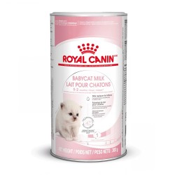 Lait maternisé chat - BabyCat milk - ROYAL CANIN