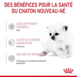Lait maternisé chaton - BabyCat milk - ROYAL CANIN