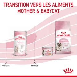 Lait maternisé chaton - BabyCat milk - ROYAL CANIN