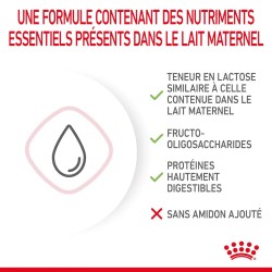 Lait maternisé chaton - BabyCat milk - ROYAL CANIN