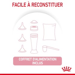 Lait maternisé chaton - BabyCat milk - ROYAL CANIN