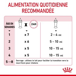 Lait maternisé chaton - BabyCat milk - ROYAL CANIN