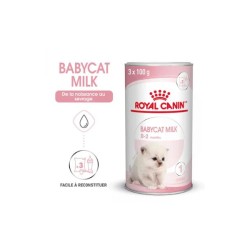 Lait maternisé chaton - BabyCat milk - ROYAL CANIN