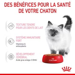 Patée chat VETERINARY CAT PEDIATRIC GROWTH - Royal Canin