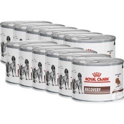 Patée chat et chien VETERINARY RECOVERY (boite 195g) - Royal Canin