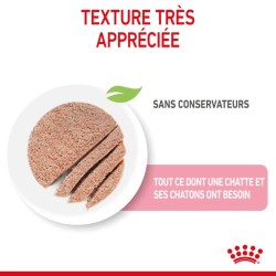 Royal Canin Chat - Mother & Babycat Loaf