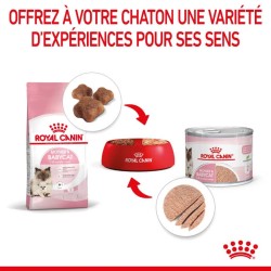 Royal Canin Chat - Mother & Babycat Loaf