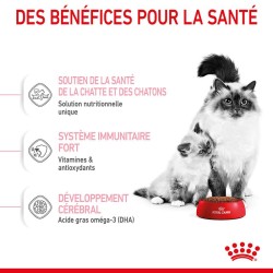 Royal Canin Chat - Croquettes Mother & Babycat