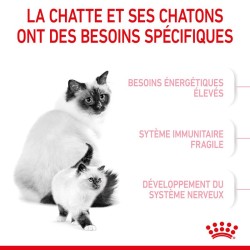 Royal Canin Chat - Croquettes Mother & Babycat
