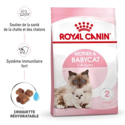 Royal Canin Chat - Croquettes Mother & Babycat