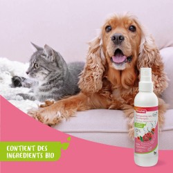 Beaphar Shampoing Sec Chat et chien Sans Rinçage