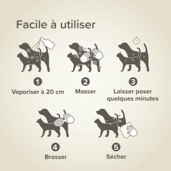 Beaphar Shampoing Sec Chat et chien Sans Rinçage
