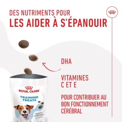 Royal Canin Chien Training Friandises