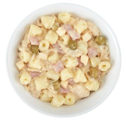 Schesir - Pack Variété Taste the World Chien pâtée