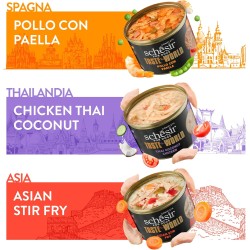 Taste The World - Poulet Thai Coconut Schesir Chien