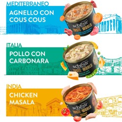 Taste The World - Poulet Thai Coconut Schesir Chien