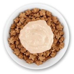 Friandises Stix Saumon - Schesir Chat