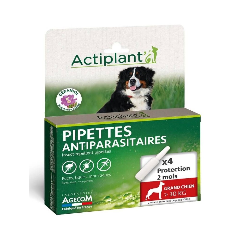 Pipettes Actiplant'3 - Grand Chiens  L 30kg  - Bio