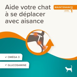 Beaphar Flexifit Friandises Chat - Articulations