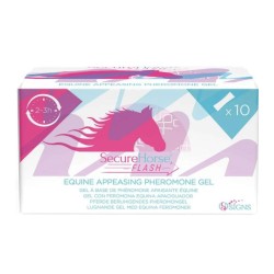 Securehorse Flash