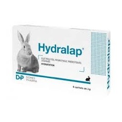 Hydralap Lapin