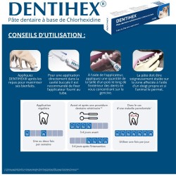 Dentihex Avec Applicateur