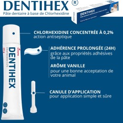 Dentihex Avec Applicateur