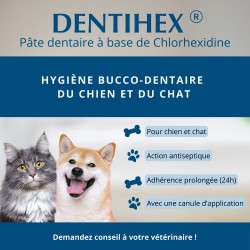 Dentihex Avec Applicateur