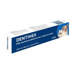Dentihex Avec Applicateur