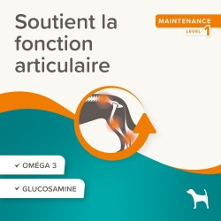 Beaphar Flexifit Friandises Chien