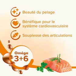 Beaphar Huile De Saumon Chien-Chat