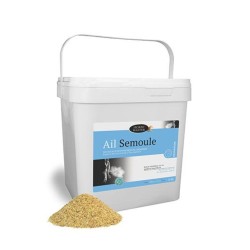 Ail Semoule - Farnam