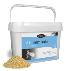 Ail Semoule - Farnam