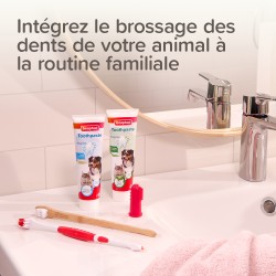 Pack dentifrice + Brosse à Dents - Chien et Chat