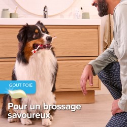 Pack dentifrice + Brosse à Dents - Chien et Chat