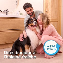 Pack dentifrice + Brosse à Dents - Chien et Chat