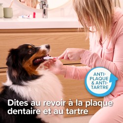 Pack dentifrice + Brosse à Dents - Chien et Chat