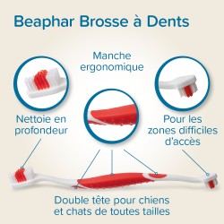 Pack dentifrice + Brosse à Dents - Chien et Chat