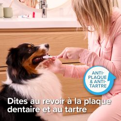 Pack dentition - Beaphar