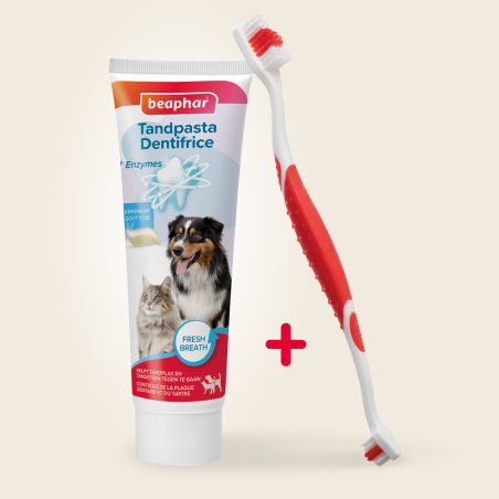Pack dentition - Beaphar