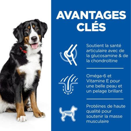 CROQUETTES CHIEN SCIENCE PLAN ADULTE LARGE POULET - HILL'S