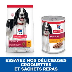 CROQUETTES CHIEN SCIENCE PLAN ADULT MEDIUM POULET - HILL'S